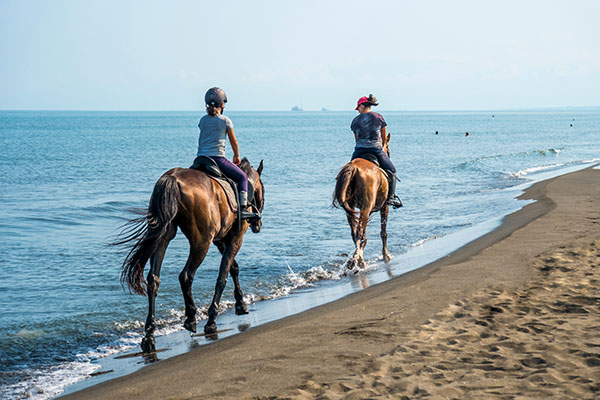 Women horseback riding on the beach shoreline
