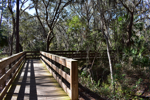 Canopy Shores walkover