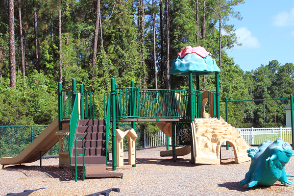 Davis Park playground