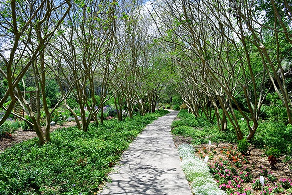 garden path at the Agriculture Center