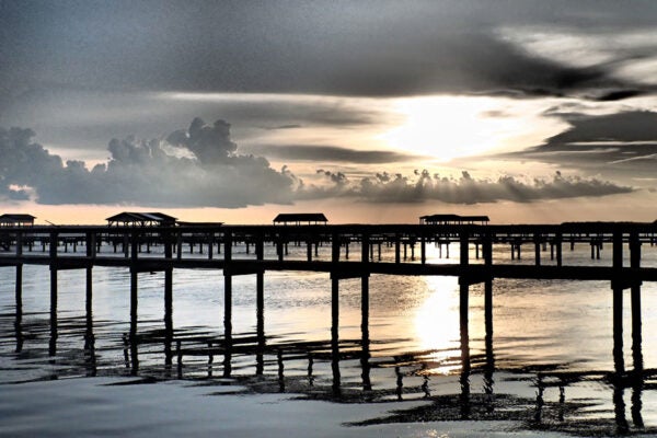 Alpine Groves Park river view with docks and sunset