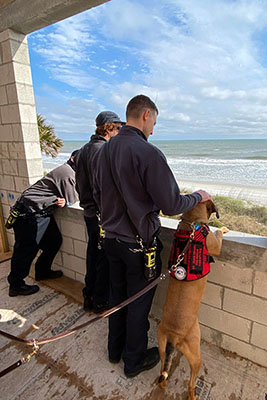 k-9 with officers