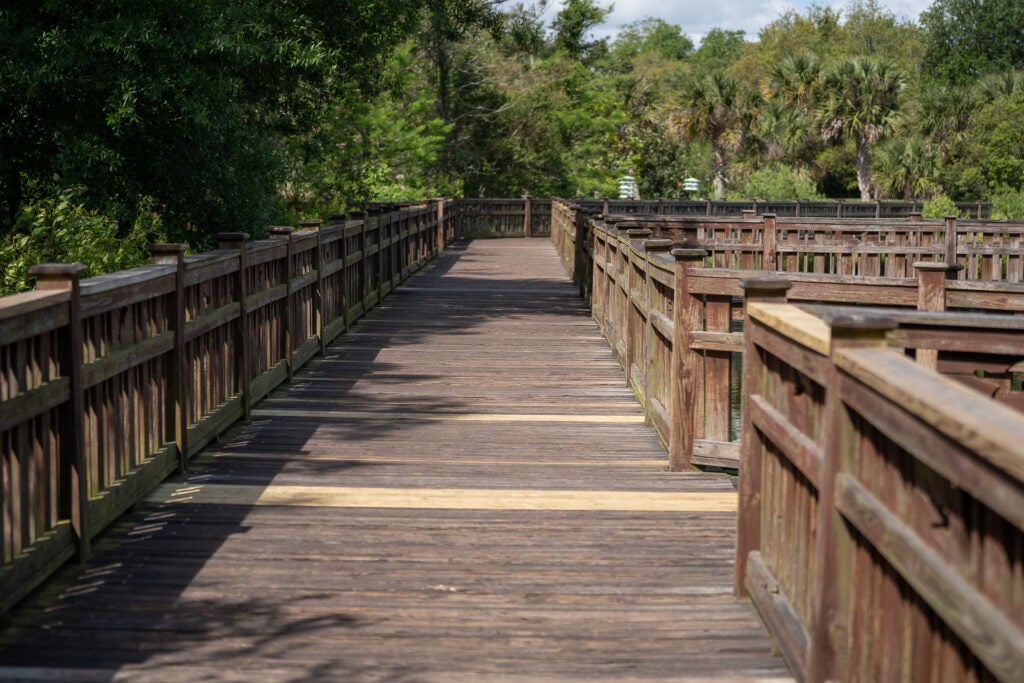 Bird Island Park St. Johns County