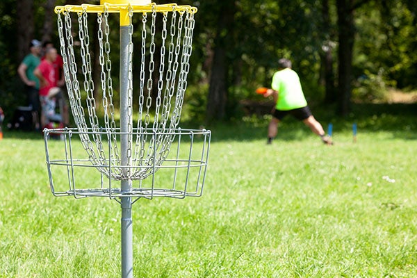 Disc Golf basket and players