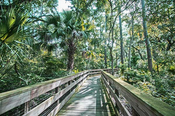 Canopy Shores Park