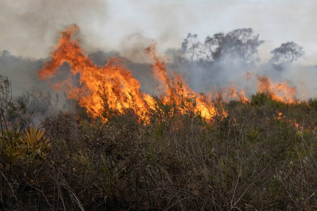 Prescribed fire- St. Johns County staff