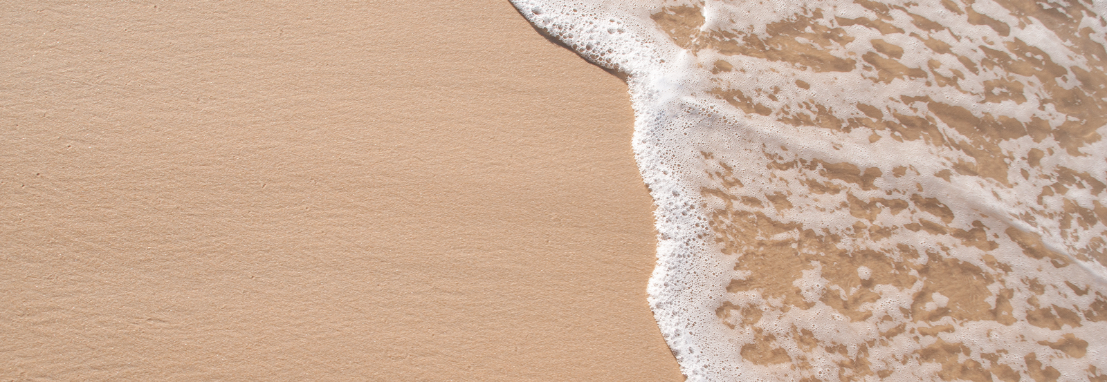 sandy shoreline