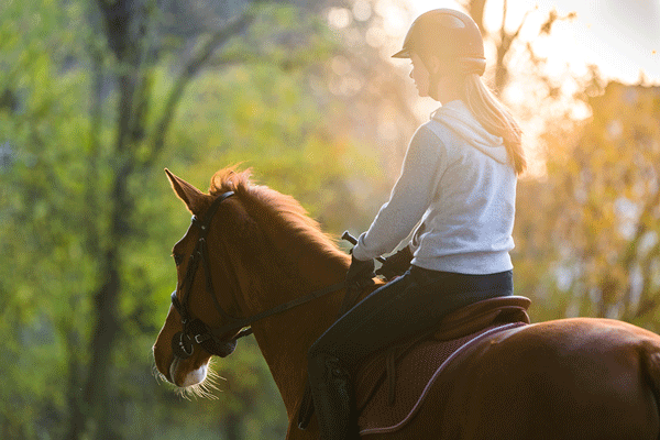 young equestrian riding horse