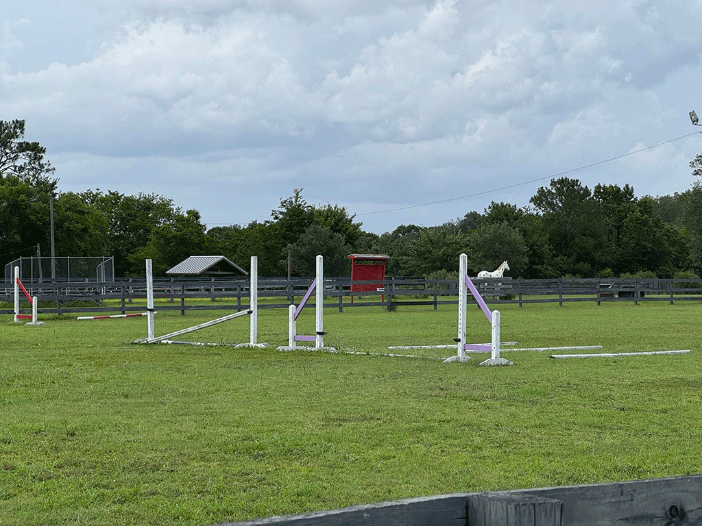 A fenced, grassy horse-riding arena with hurdles for horses to jump over and a wooden statue of a horse in the background.
