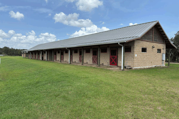 A stable with multiple concrete-block stalls for horses.