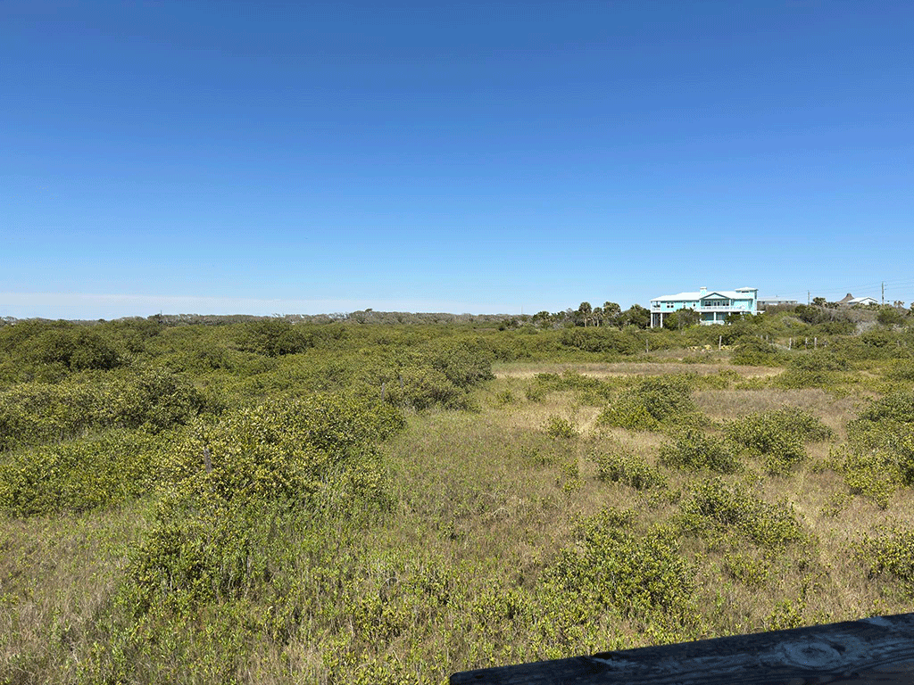 A view of a marsh and a nearby house from an overlook.