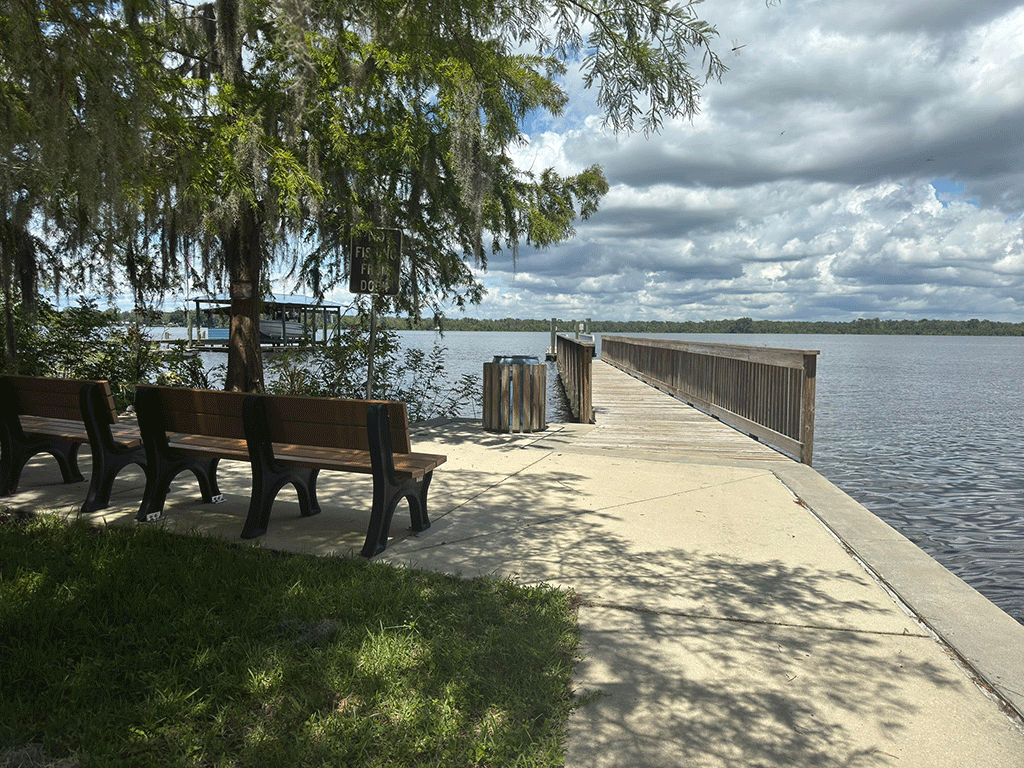 A pair of shaded wooden benches next to a wooden fishing dock.