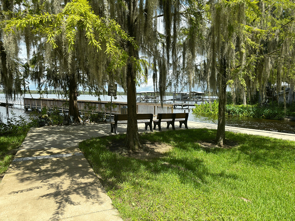A pair of wooden benches under trees beside a fishing dock and a boat ramp