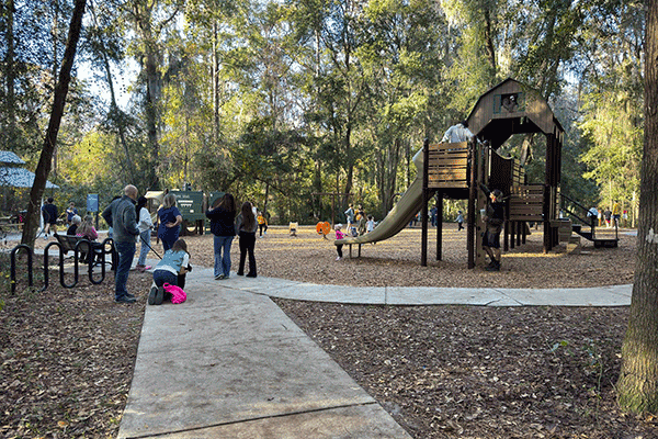 Families with children play in a park in the middle of the woods.