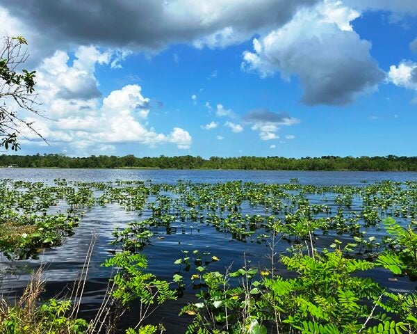 Julington Creek Bailey Park located on Bishop Estates Road