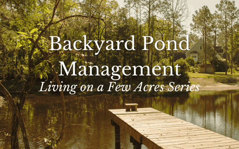 Backyard Pond Management - Living on a few acres series.