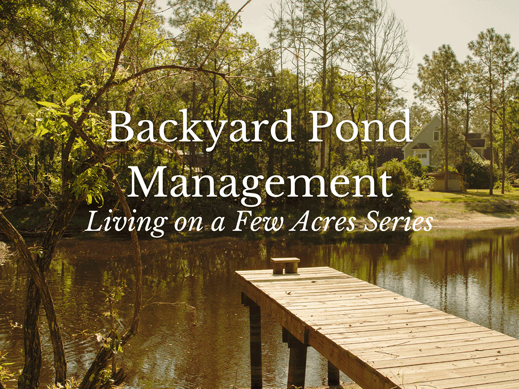 Backyard Pond Management - Living on a few acres series.