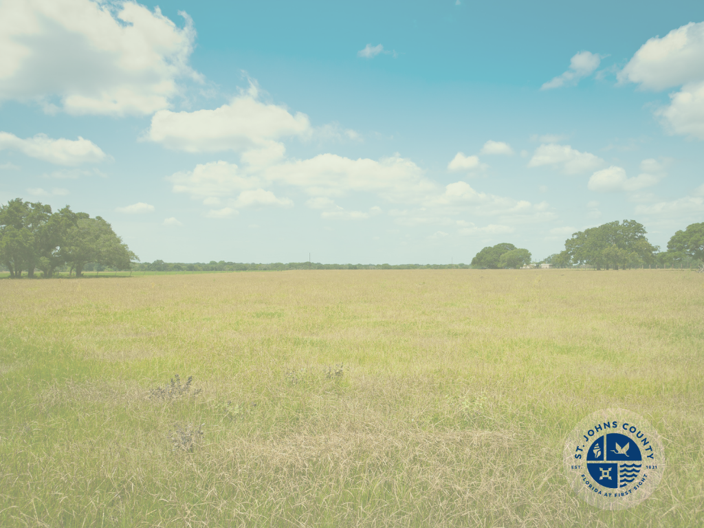 beige and green field, tress, blue sky and fluffy white clouds in the background