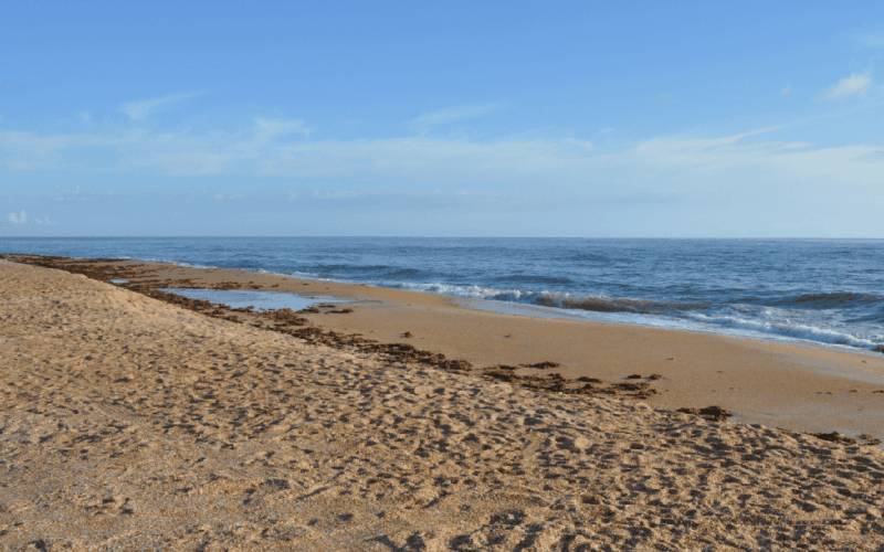 Sandy beach with footprints and seaweed with blue ocean and blue skies with white wispy clouds